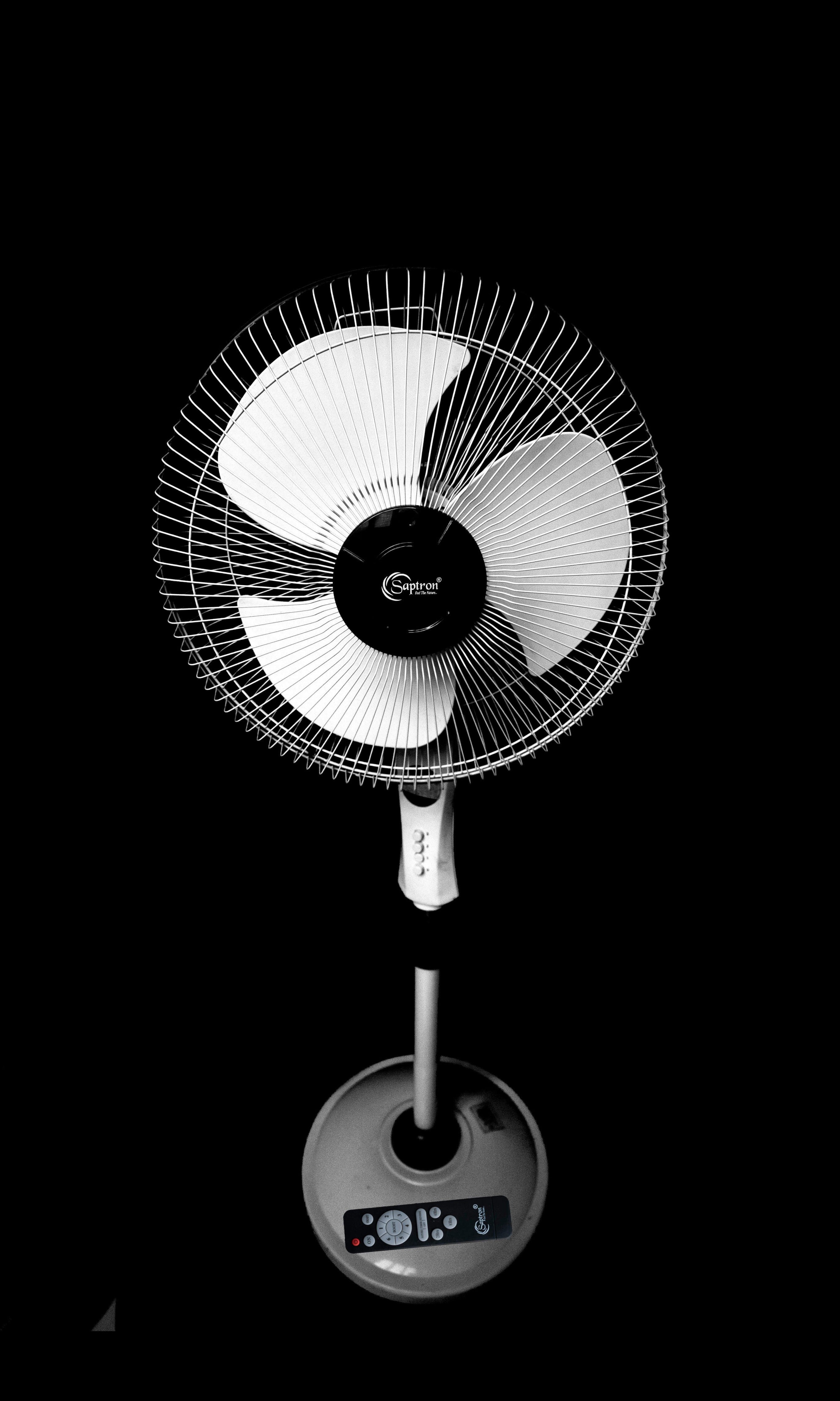 Pedestal Fan With Remote