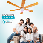 Hunter X - Golden Film