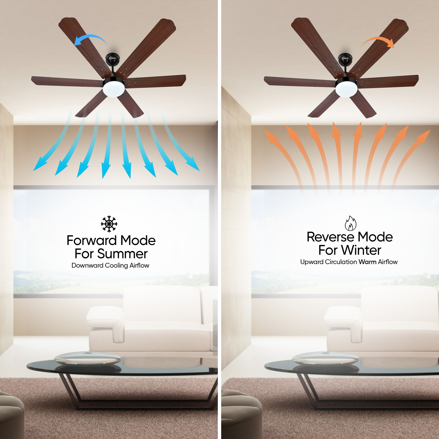 SAPTRON  HUNTER-X BLDC Ceiling Fan 1200 mm 6‑Blade (5 Star | Brown Film | Pack of 1) with 2 Years Warranty