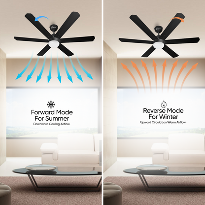 SAPTRON  HUNTER-X BLDC Ceiling Fan 1200 mm 6‑Blade (5 Star | BLACK | Pack of 1) with 2 Years Warranty